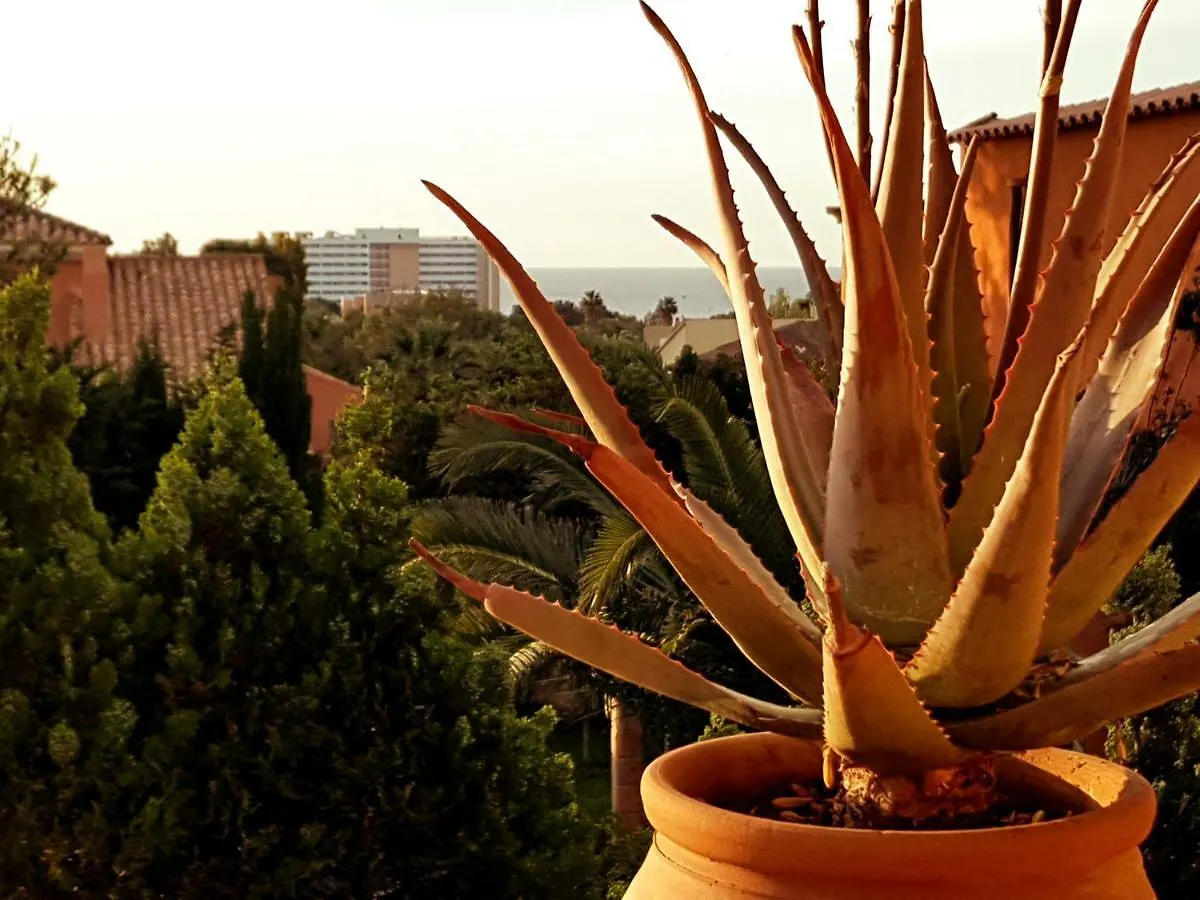 Casa Puerta Del Sol Villa Calas de Mallorca Holiday home